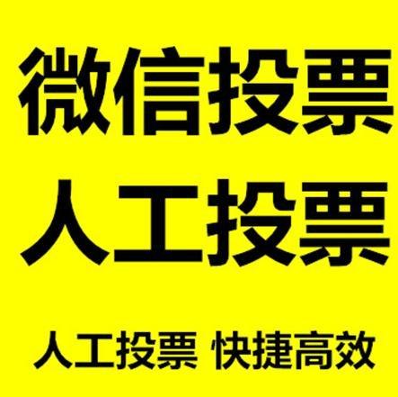 贵州省微信刷票怎么投票